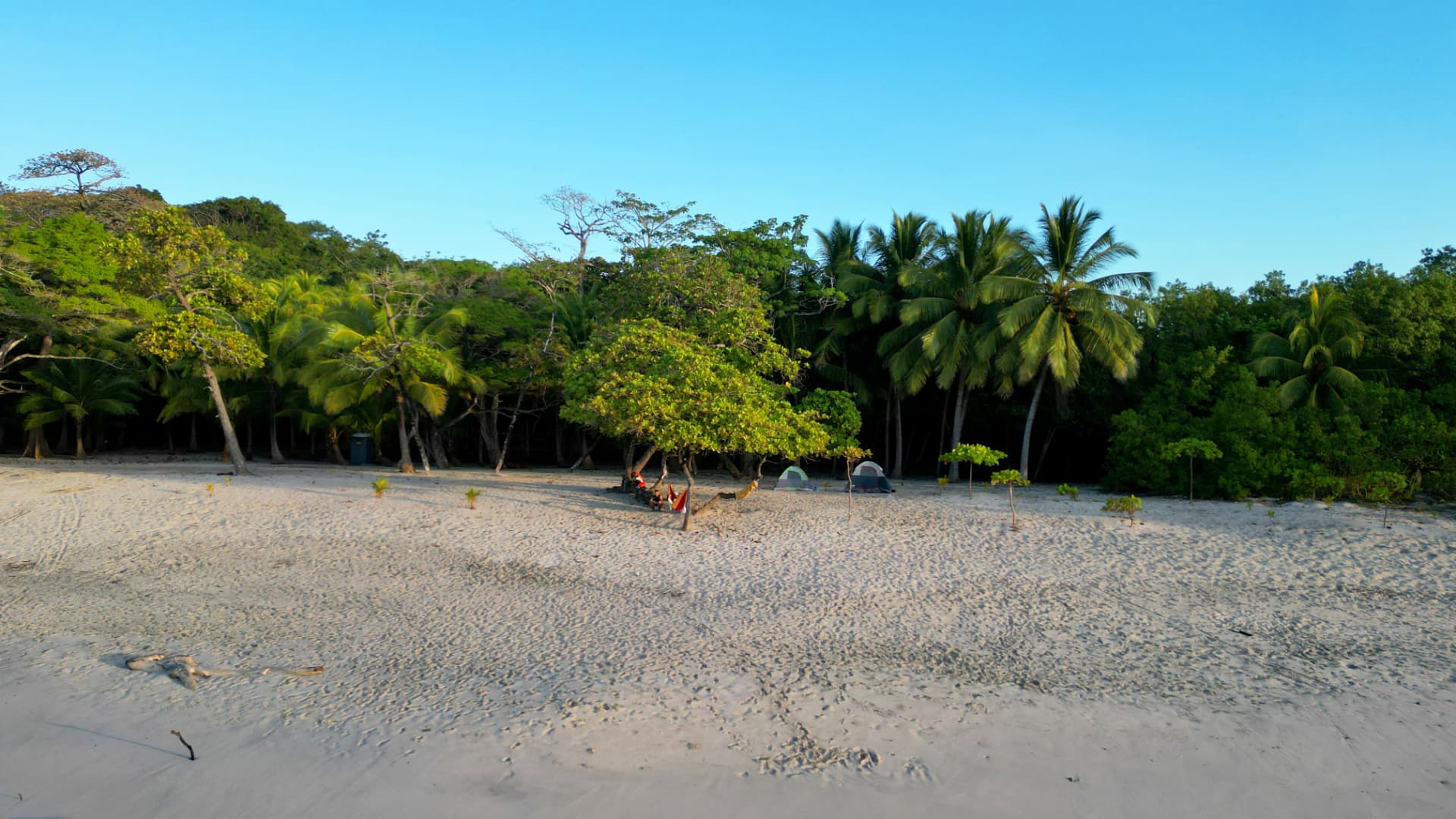 Playa Barrigona en Guanacaste, playa de arena blanca con palmas y carpas de camping